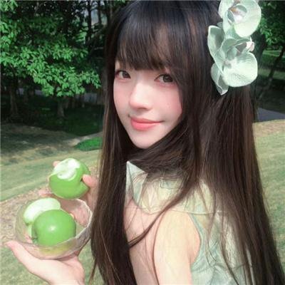 尚岷与丁尼奥